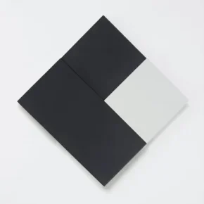 Lygia CLARK